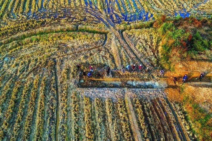 良渚遺址考古發(fā)掘現(xiàn)場。