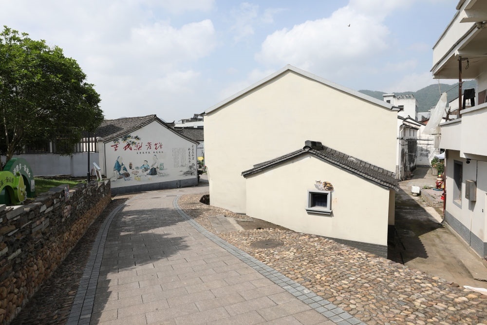 浙江省義烏市李祖村一景（2023年5月23日攝）。新華社記者 杜瀟逸 攝