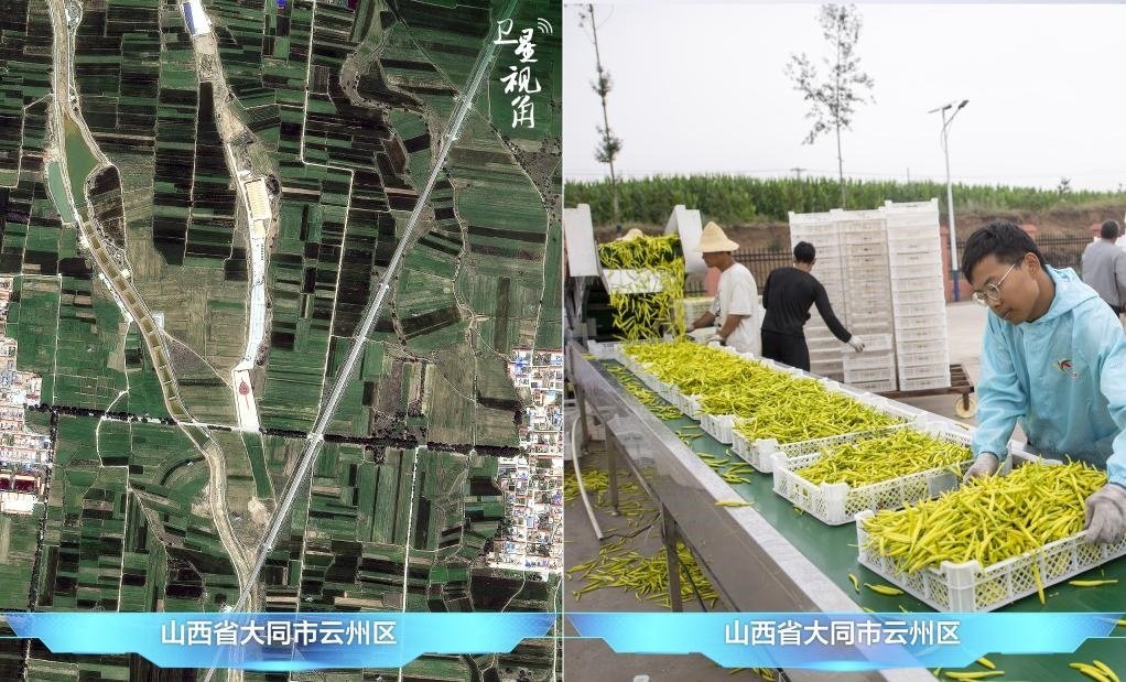 當(dāng)前，大同市開發(fā)黃花菜品、食品、飲品、功能食品、化妝品、文創(chuàng)產(chǎn)品六大系列130余種，全產(chǎn)業(yè)鏈產(chǎn)值超40億元。