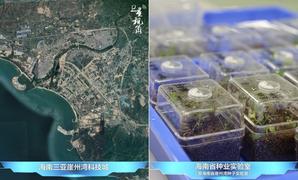 位于三亞崖州灣科技城的海南省種業(yè)實(shí)驗(yàn)室（原海南省崖州灣種子實(shí)驗(yàn)室）將形成輻射全國和“一帶一路”沿線國家的種子科學(xué)技術(shù)創(chuàng)新中心。