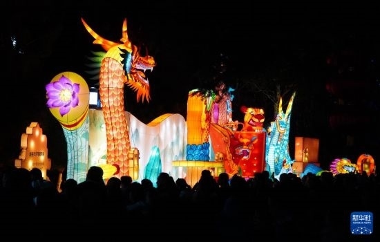 2月11日晚，人們在濟南市趵突泉公園觀賞花燈。