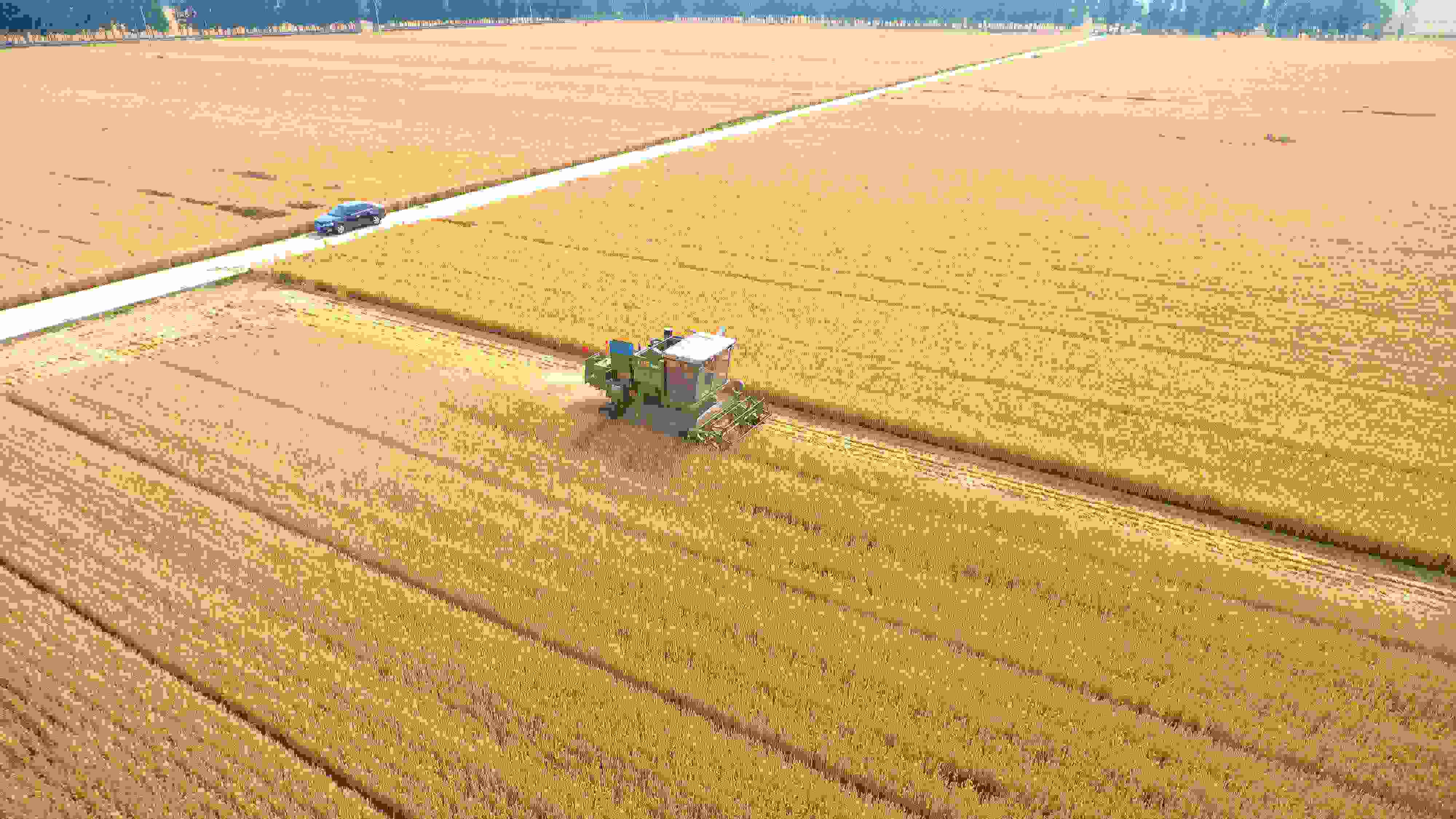 △ 2023年6月5日，山東聊城茌平區(qū)賈寨鎮(zhèn)王藥包村，收割機(jī)在田間進(jìn)行小麥?zhǔn)崭钭鳂I(yè)。