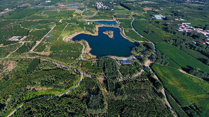 這是2022年9月6日拍攝的雄安新區(qū)“千年秀林”。