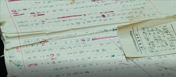 曲波《林海雪原》手稿。主辦方供圖