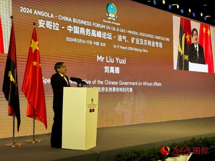 中國政府非洲事務(wù)特別代表劉禹錫。人民網(wǎng)記者 張榮攝