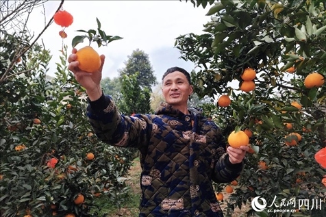 鐵牛村村民趙光進(jìn)。人民網(wǎng)記者 朱虹攝