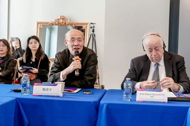 中國傳媒大學(xué)文化發(fā)展與傳播研究院院長(zhǎng)熊澄宇教授發(fā)言（圖片：中國傳媒大學(xué)