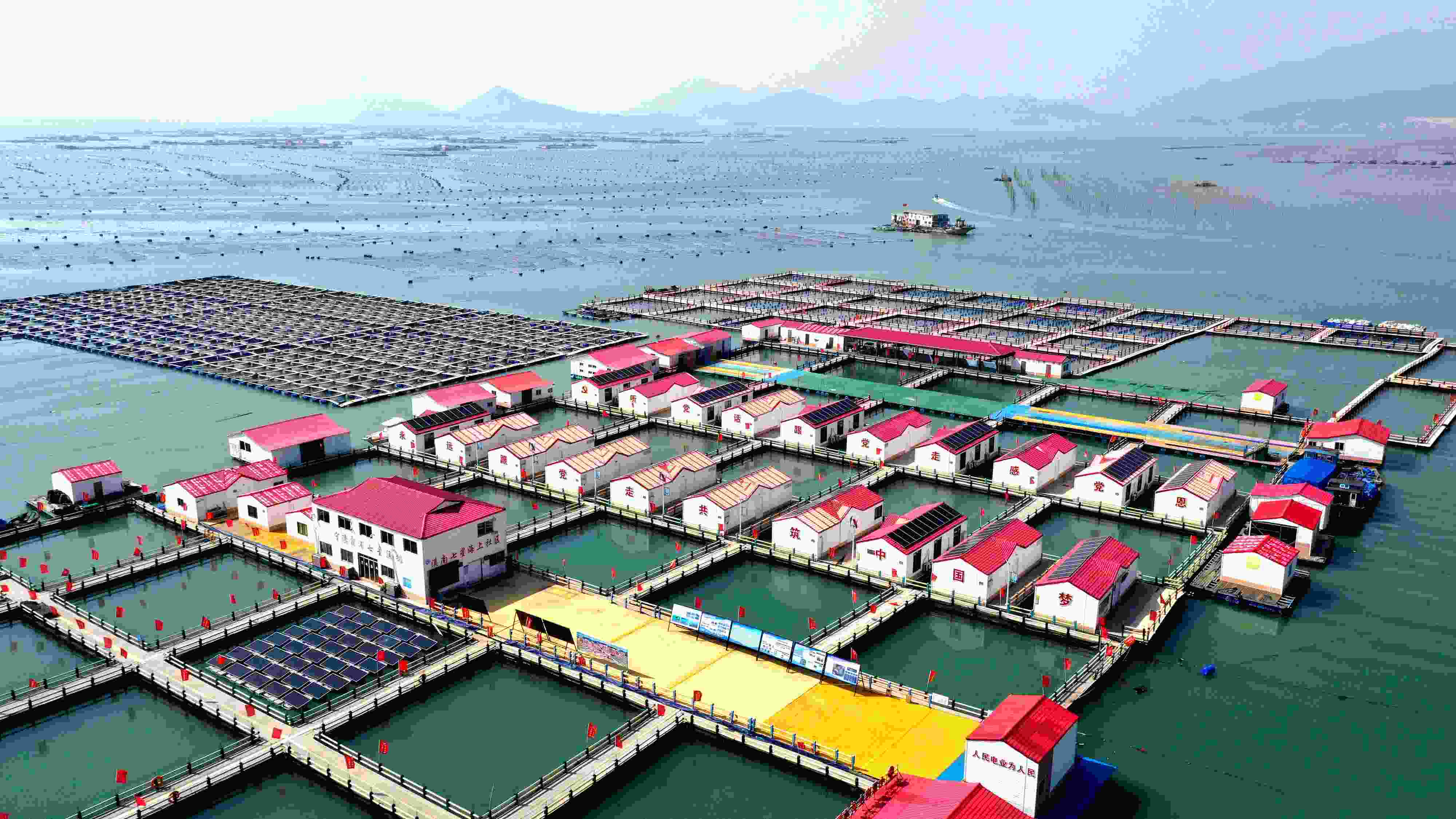 2024年3月20日，福建省寧德市，霞浦縣溪南鎮(zhèn)七星村漁排養(yǎng)殖示范區(qū)，漁民駕駛養(yǎng)殖船進(jìn)行海參養(yǎng)殖作業(yè)。