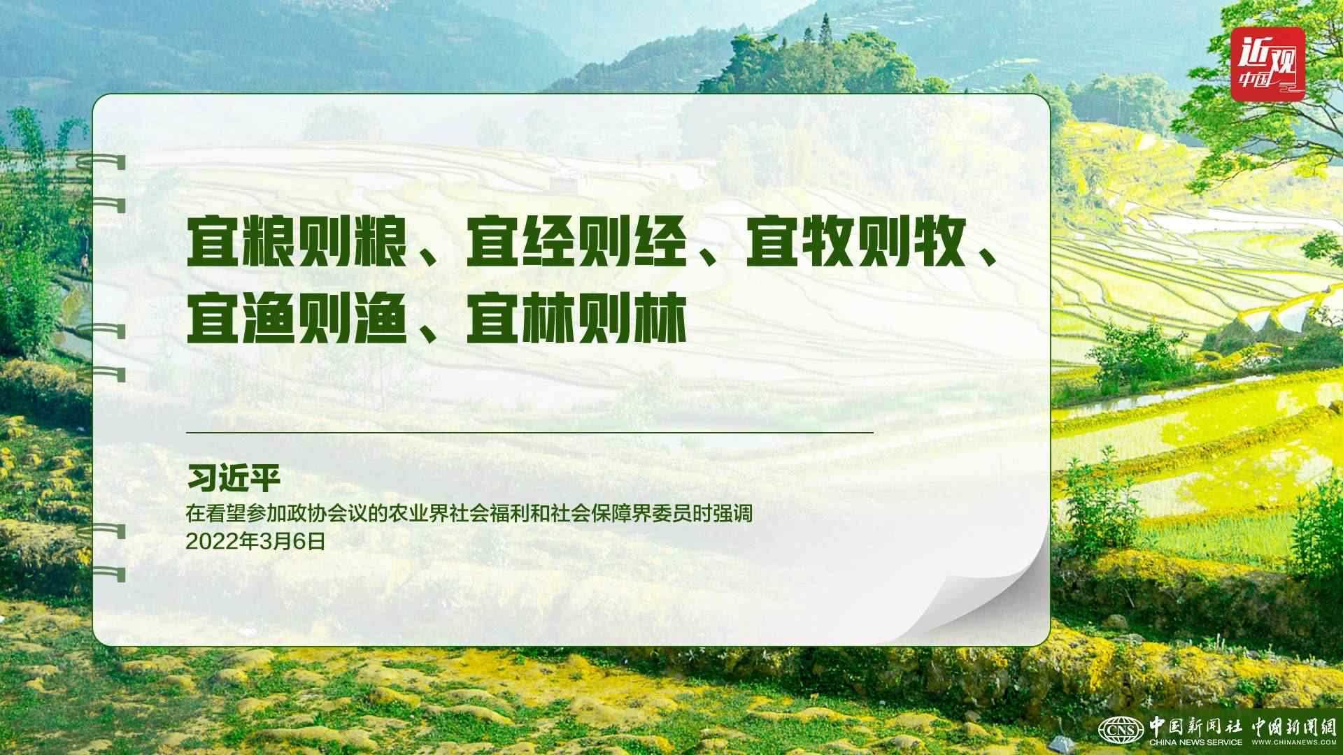 習(xí)近平：樹(shù)立大食物觀，構(gòu)建多元化食物供給體系