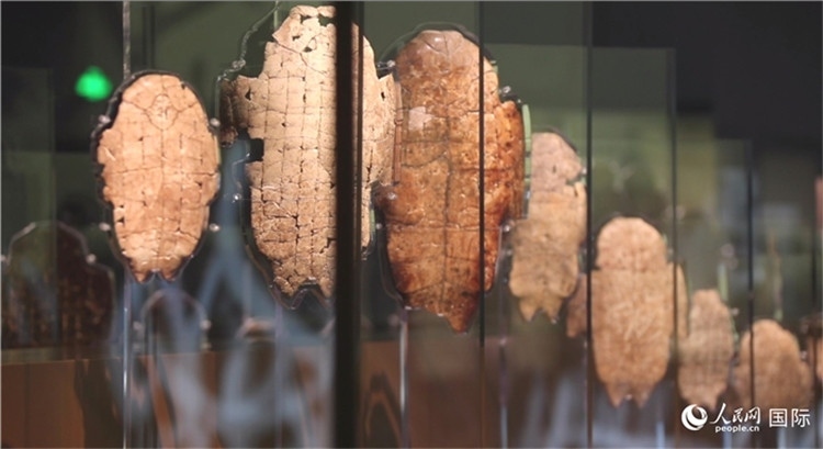 殷墟博物館新館的甲骨展品。人民網(wǎng)記者 劉寧攝