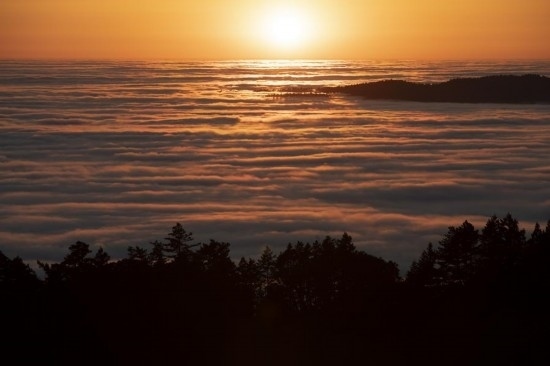 這是5月14日在美國加利福尼亞州馬林縣拍攝的云海。新華社發(fā)（李建國攝）