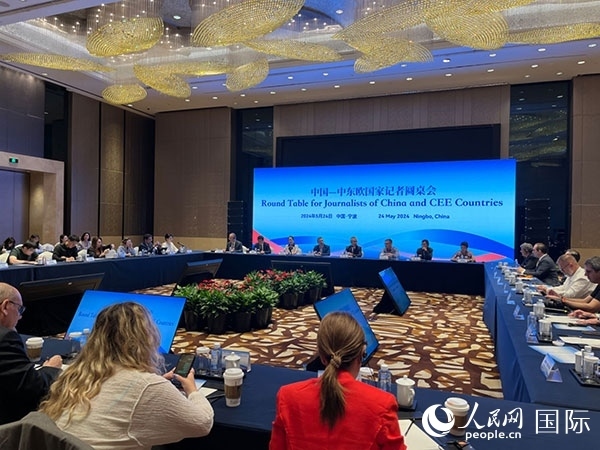 圓桌會現(xiàn)場。人民網(wǎng)記者 周輖攝