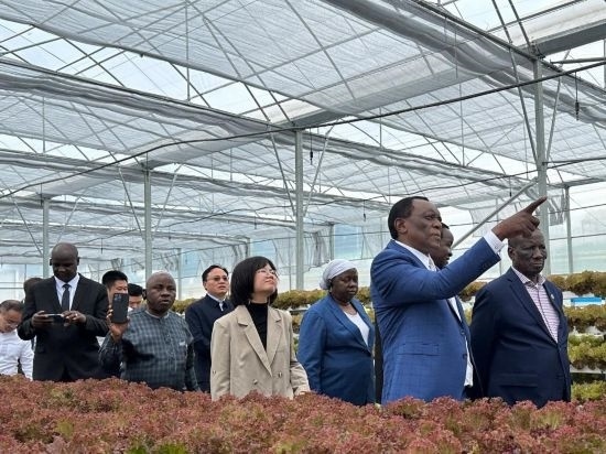 使節(jié)團(tuán)考察貴州省清鎮(zhèn)駱家橋蔬菜保供基地的無(wú)土栽培溫室。新華社記者 袁睿 攝