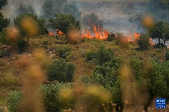 6月12日，以色列北部加利利地區(qū)遭受火箭彈襲擊后冒出滾滾濃煙。新華社發(fā)（阿亞爾·馬戈林?jǐn)z/基尼圖片社）