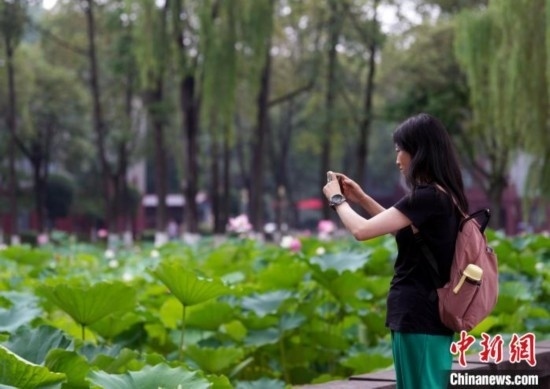 6月19日，時(shí)值一年畢業(yè)季，四川大學(xué)望江校區(qū)荷花池里的荷花盛開，成為了畢業(yè)生們的打卡圣地，吸引了眾多畢業(yè)生拍照留念。圖為畢業(yè)生在荷花池邊拍照留念。中新社記者 安源 攝