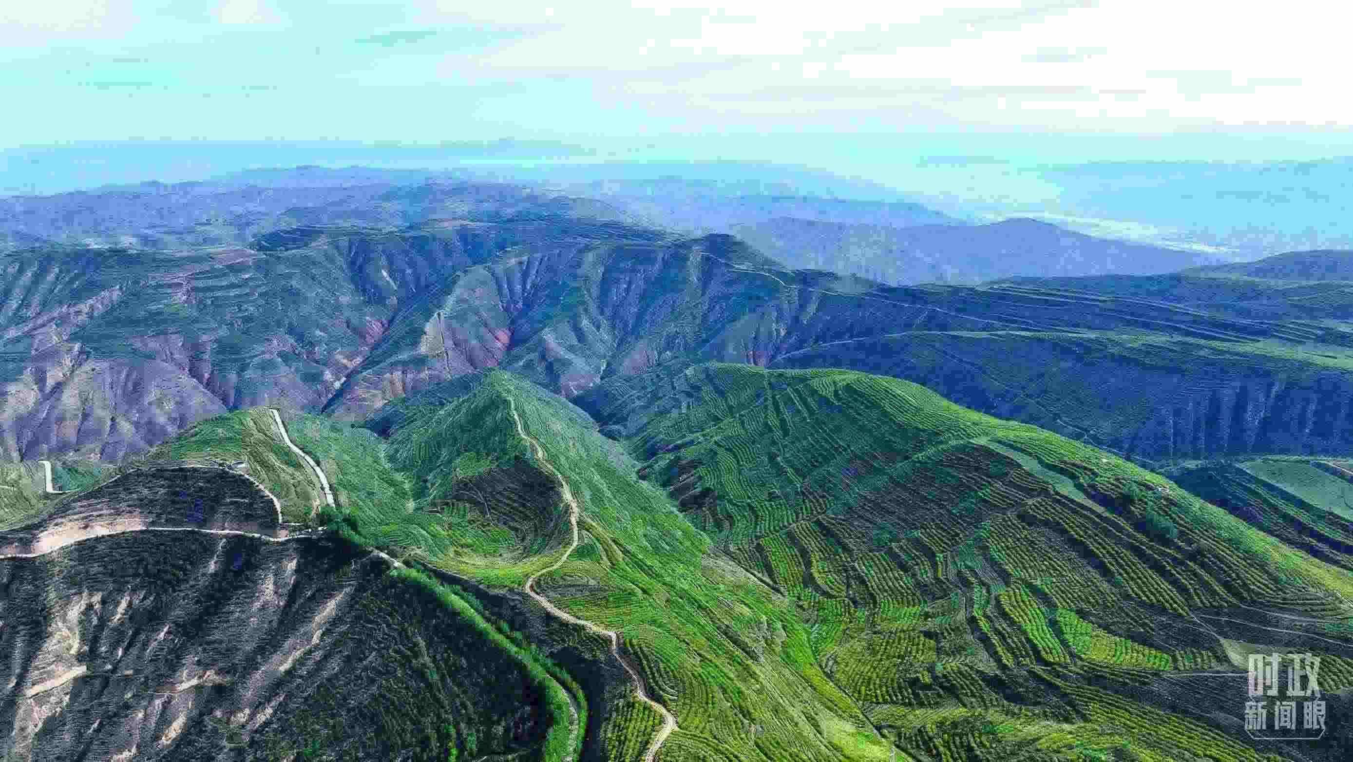 △青海西寧。（總臺(tái)記者柳成拍攝）