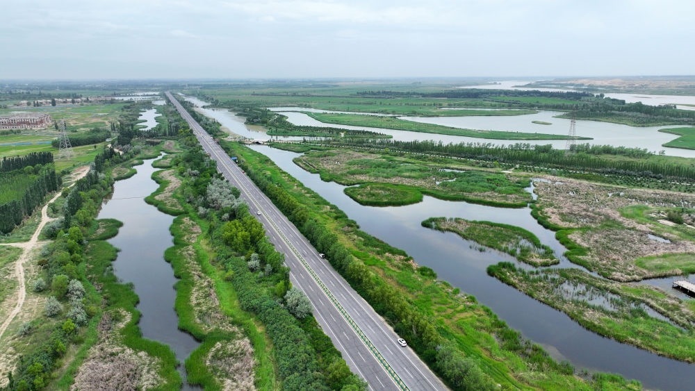 這是2024年6月13日拍攝的黃河寧夏段濱河大道（無人機(jī)照片）。近年來，寧夏努力建設(shè)黃河流域生態(tài)保護(hù)和高質(zhì)量發(fā)展先行區(qū)，全力打好黃河保護(hù)持久戰(zhàn)。新華社記者 王鵬 攝