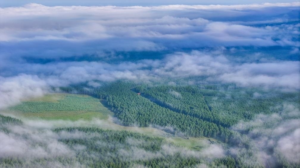 2024年7月26日拍攝的塞罕壩國(guó)家級(jí)自然保護(hù)區(qū)景色。新華社發(fā)（劉滿(mǎn)倉(cāng) 攝）