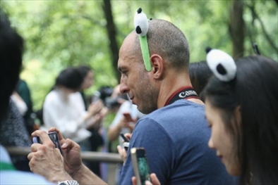 俄羅斯《俄羅斯報(bào)》視覺(jué)內(nèi)容編輯阿爾圖爾·杰魯諾夫在拍攝熊貓。（李佩藺 攝）