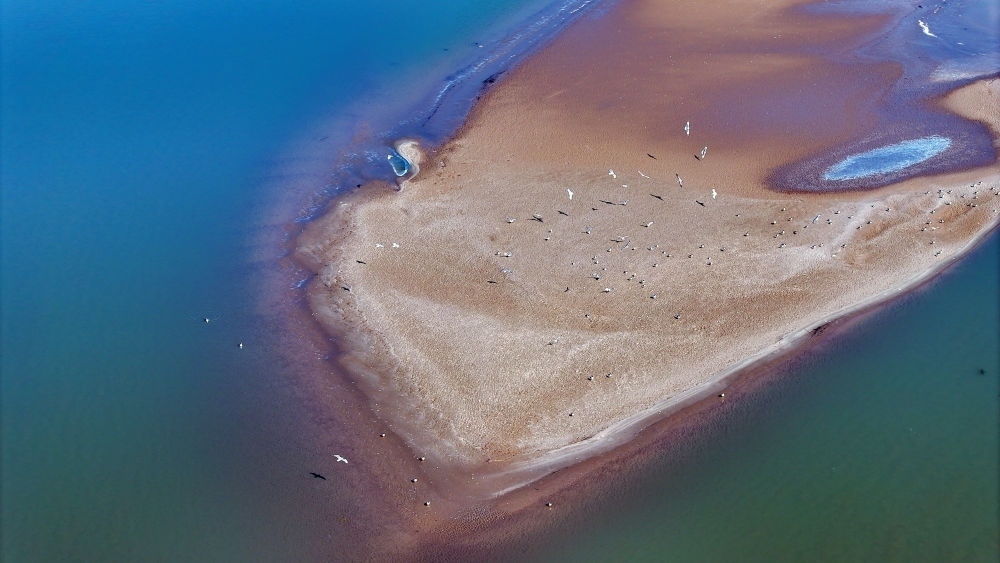 2024年3月1日拍攝的黃河寧夏段（無(wú)人機(jī)照片）。