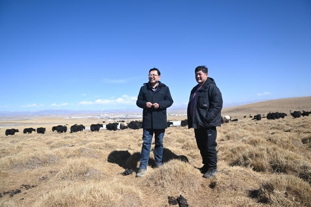 2023年2月24日，在青海省海北藏族自治州海晏縣青海湖鄉(xiāng)達(dá)玉日秀村，全國人大代表董全民（左）查看牧民東知布家的草場。新華社記者 張龍 攝