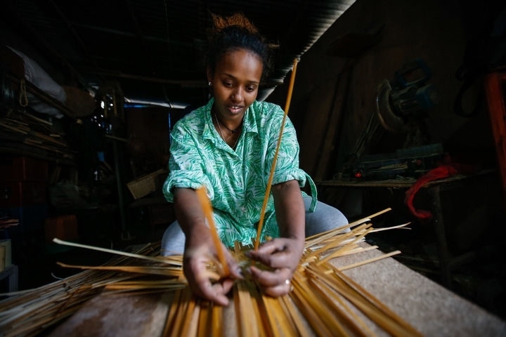 2024年8月10日，菲基爾特·加布雷在埃塞俄比亞首都亞的斯亞貝巴名為“綠色金子”的竹藤工作室里加工竹制產(chǎn)品。新華社發(fā)（邁克爾·特韋爾德 攝）