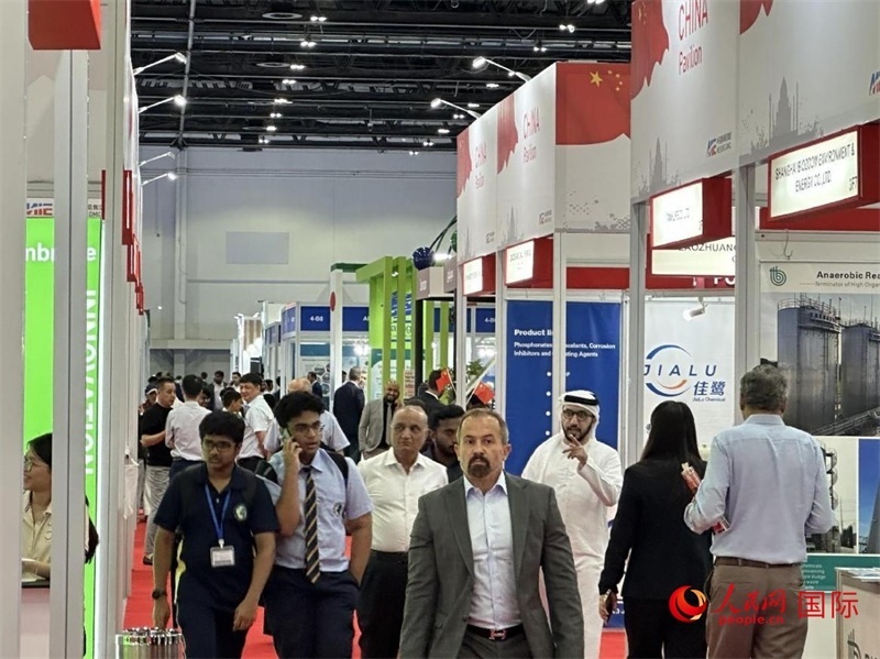 中國館一角。人民網(wǎng)記者管克江攝