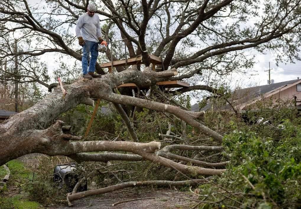 2021年8月30日，在美國路易斯安那州霍馬，一名男子站在被颶風(fēng)吹倒的大樹上。新華社發(fā)（尼克·瓦格納 攝）