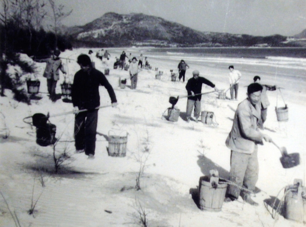 上世紀(jì)東山百姓在沙灘造林（資料照片）。
