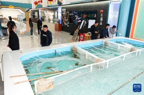 9月20日，游客在吉林省琿春市的帝王蟹保稅店內(nèi)選購(gòu)帝王蟹。新華社記者 許暢 攝