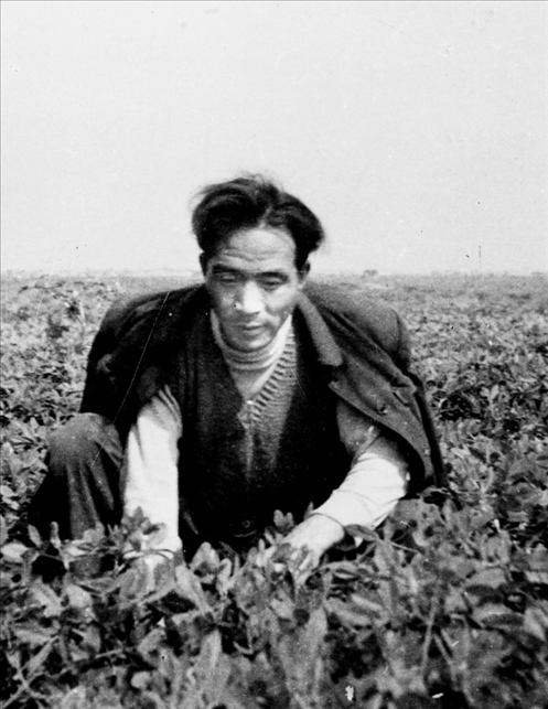 在蘭考期間，焦裕祿在田間勞動的情景。