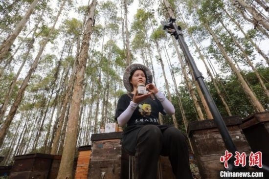 吳素英在網(wǎng)絡平臺直播介紹蜜蜂和養(yǎng)蜂情況。湯曉逵 攝