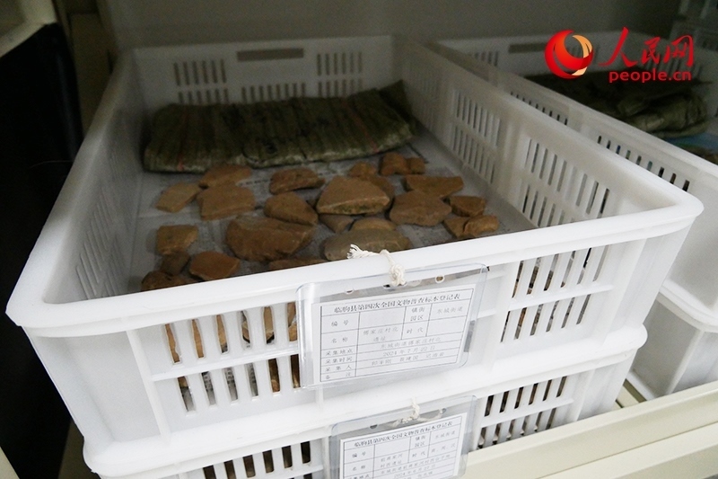 已經(jīng)整理完畢的文物標本。人民網(wǎng)記者 韋衍行攝