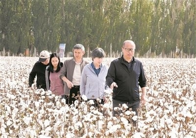 李召虎團(tuán)隊成員在棉田了解試驗情況。 受訪單位供圖