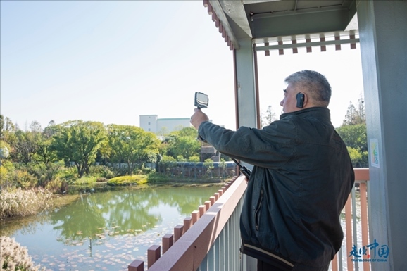 參觀白鷺園。環(huán)球網(wǎng)供圖