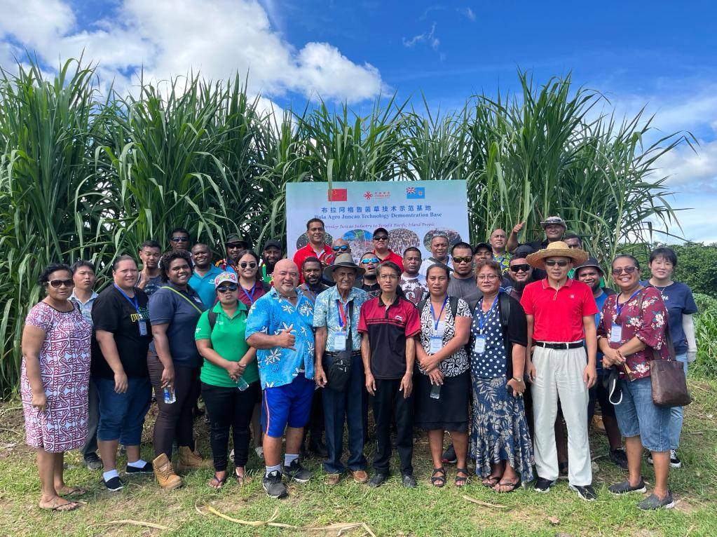 2024年2月28日，來自巴布亞新幾內(nèi)亞、湯加、庫克群島、薩摩亞、瑙魯?shù)葒业摹疤窖髰u國菌草技術(shù)培訓(xùn)班”學(xué)員在斐濟布拉阿格魯菌草技術(shù)示范基地合影。新華社發(fā)（中國援斐濟菌草技術(shù)示范中心供圖）