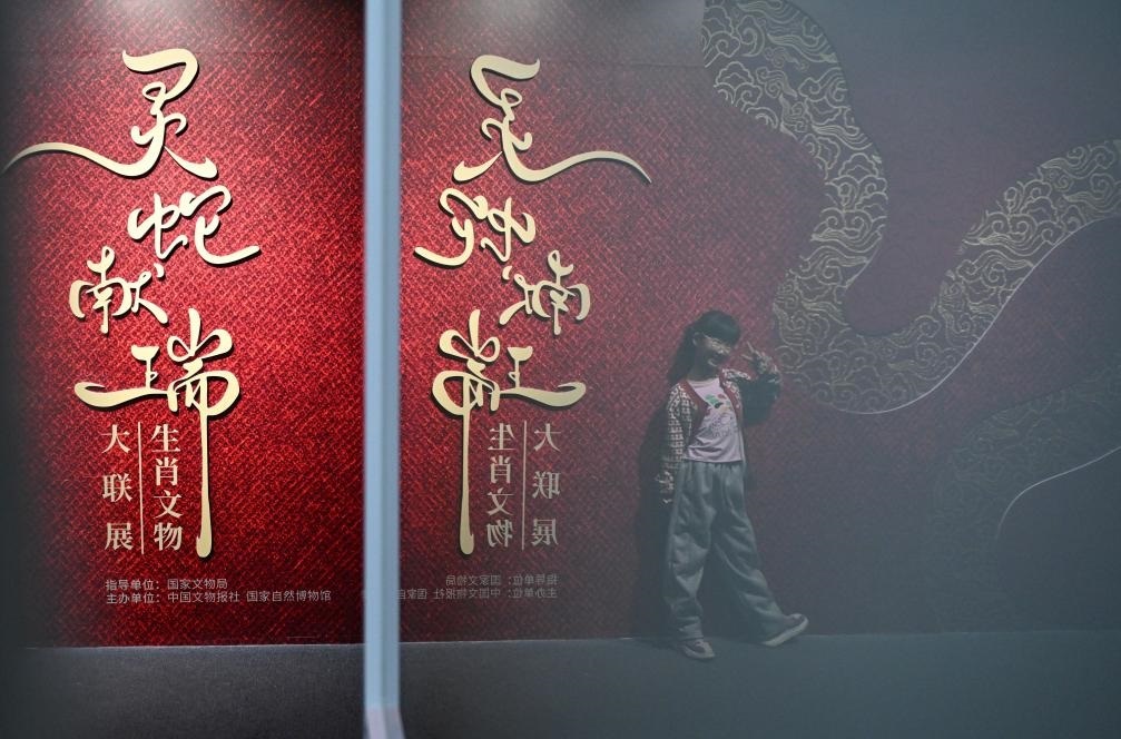 1月18日，一名小朋友在國(guó)家自然博物館舉辦的“靈蛇獻(xiàn)瑞——2025乙巳蛇年生肖文物大聯(lián)展”展覽中拍照留念。（新華社記者 陳鐘昊 攝）