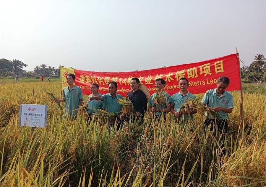 中國駐塞拉利昂大使王擎和援塞農(nóng)業(yè)專家組合影。中國援塞農(nóng)業(yè)專家組供圖