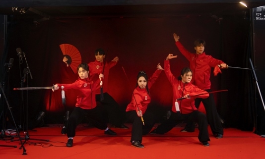 武術(shù)表演。中國(guó)駐芬蘭大使館供圖