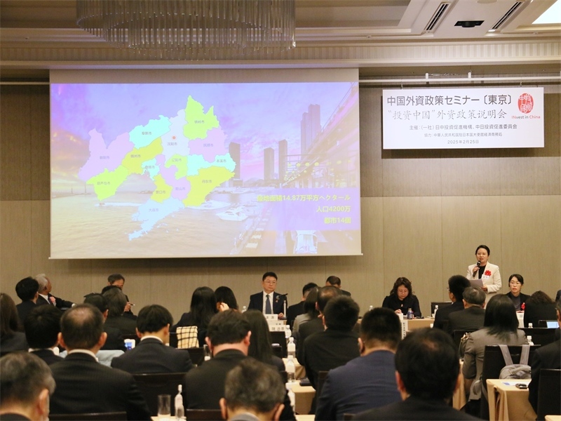 地方代表進行專題投資推介。人民網(wǎng) 許可攝