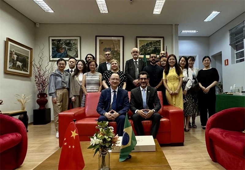 圖為參加座談會的來賓合影留念。 圣保羅州立大學(xué)孔子學(xué)院供圖