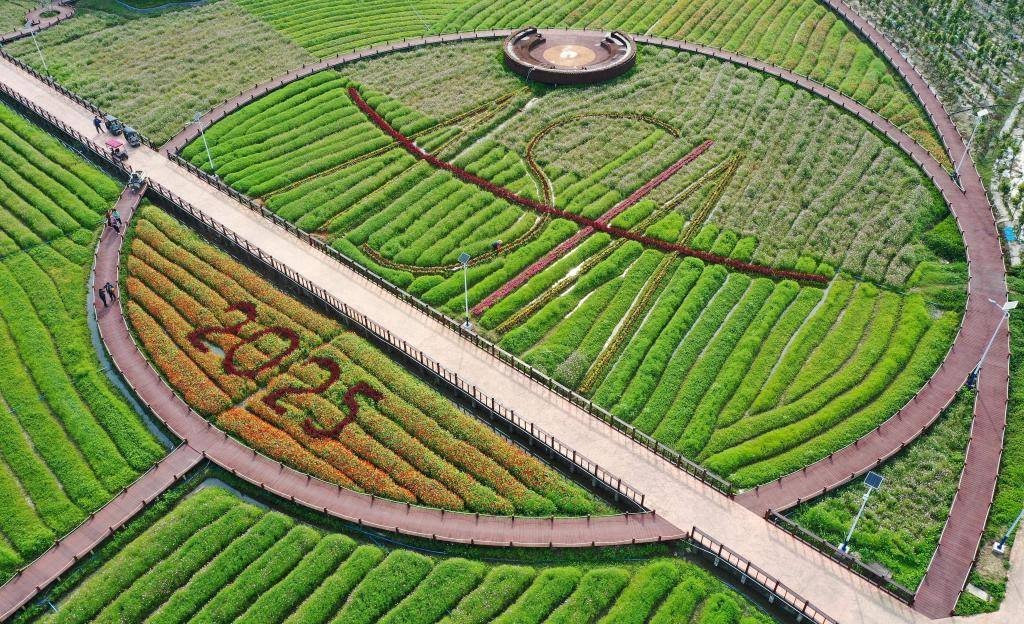 這是3月21日拍攝的瓊海博鰲南強村景色（無人機照片）。新華社記者 郭程 攝