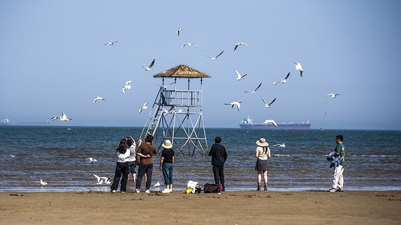 2024年5月12日，河北秦皇島，北戴河鴿子窩公園成群海鷗在天空中自由翱翔，與大海、藍天構(gòu)成了一幅美麗的畫卷。