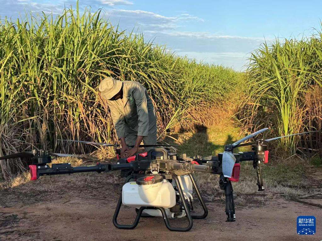 3月25日，在南非夸祖魯-納塔爾省的方廷希爾莊園，工作人員為無人機(jī)做起飛作業(yè)前的準(zhǔn)備。新華社記者 白舸 攝