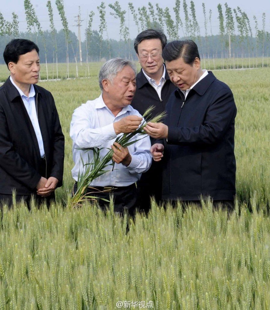 2014年5月，習(xí)近平總書記在河南省尉氏縣張市鎮(zhèn)高標(biāo)準(zhǔn)糧田察看小麥長勢。