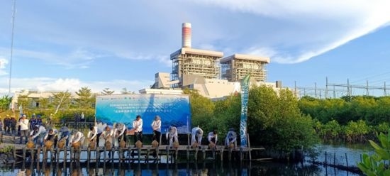 5月18日，中印尼嘉賓在爪哇7號(hào)燃煤電站舉行紅樹林補(bǔ)植儀式。記者 曹凱 攝
