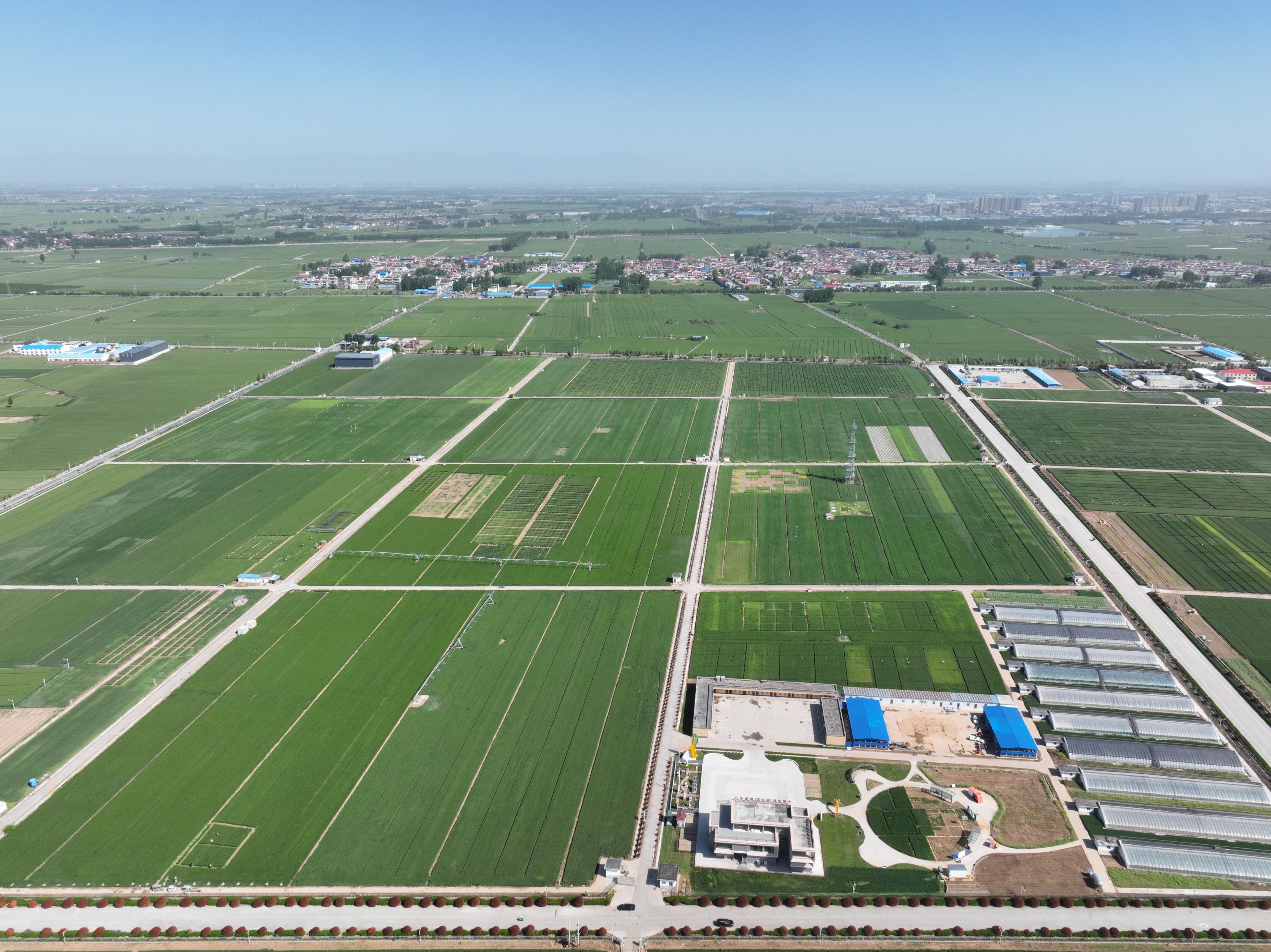 俯瞰水利部灌溉試驗(yàn)總站試驗(yàn)研究基地。受訪者供圖